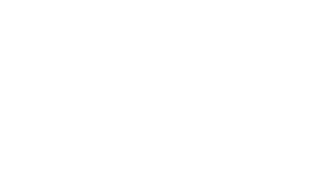 BN Logo